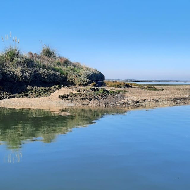 Solar Boat Tour along the Salgado da Ria de Aveiro - Key points / Takeaways