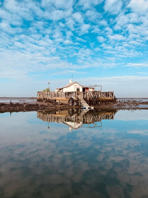 Solar Boat Tour along the Salgado da Ria de Aveiro - Price and Logistics: Worth the Investment?