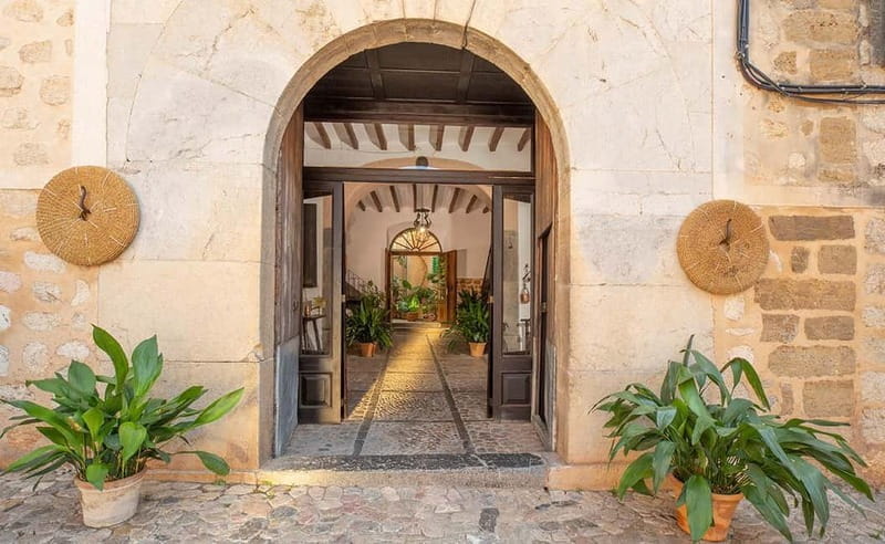 Sóller: Olive Oil Guided Tour and Tasting at Can Det Estate - Exploring the Can Det Estate: A Deep Dive