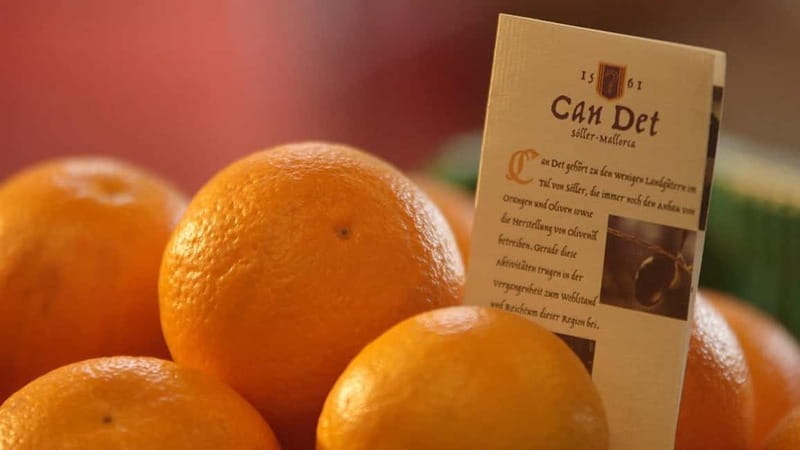 Sóller: Olive Oil Guided Tour and Tasting at Can Det Estate - FAQ