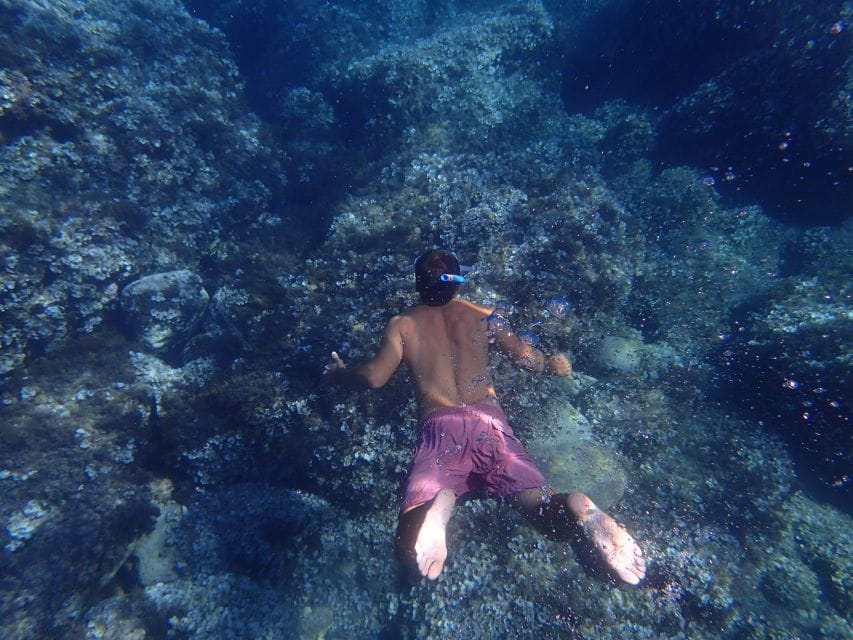 Soller: Sa Calobra & Cala Tuent Speedboat Tour - Key Points