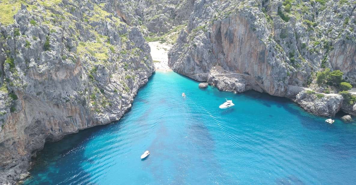 Soller: Sa Calobra & Cala Tuent Speedboat Tour - Customer Ratings and Reviews