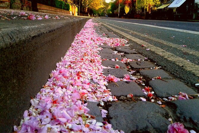 Solo Travellers- university or Harry Potter private group tour - Who Will Love This Tour?