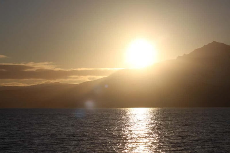 Sommarøy: Midnight Tour by minibus - Who Will Love This Tour?