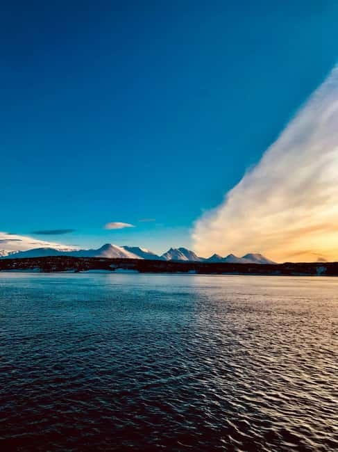 Sommarøy: Midnight Tour by minibus - Price and Logistics