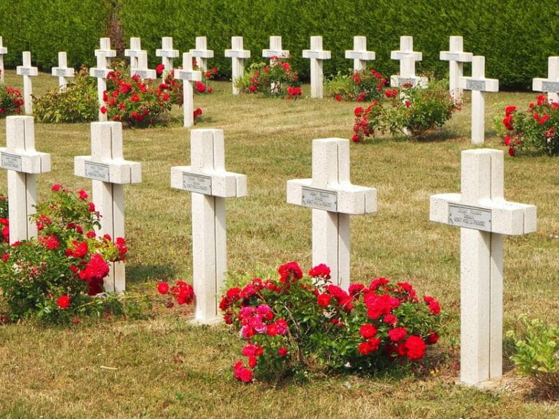 Somme: A day on the battlefields - Who Will Love This Tour?