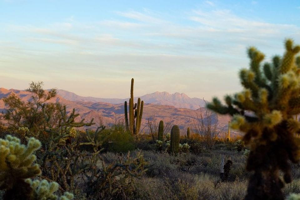Sonoran Desert: Sunset Jeep Tour With Tonto National Forest - Frequently Asked Questions