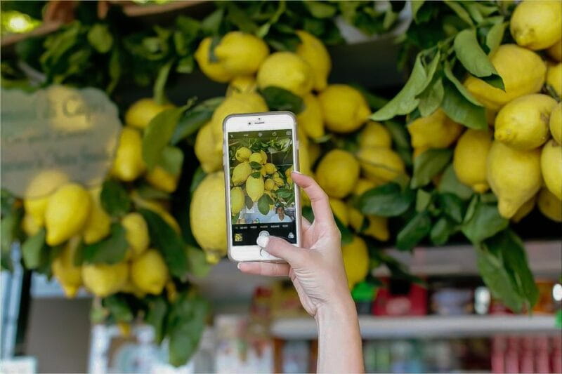 Sorrento: Amalfi Coast & Ieranto Bay Eco-Friendly Boat Trip - The Itinerary: Navigating the Coast in Style