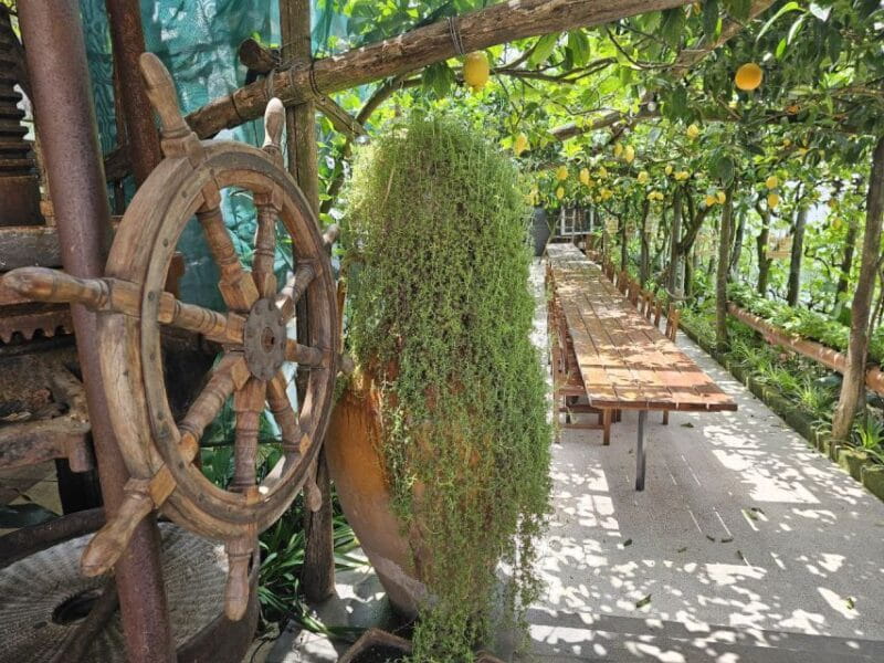 Sorrento Coast: E-Bike & Cooking Experience - Scenic Cycling Along the Sorrento Peninsula