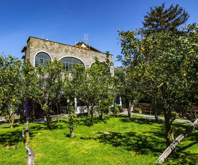 Sorrento: Coast E-Bike Tour with Limoncello Tasting - FAQ: Your Questions Answered