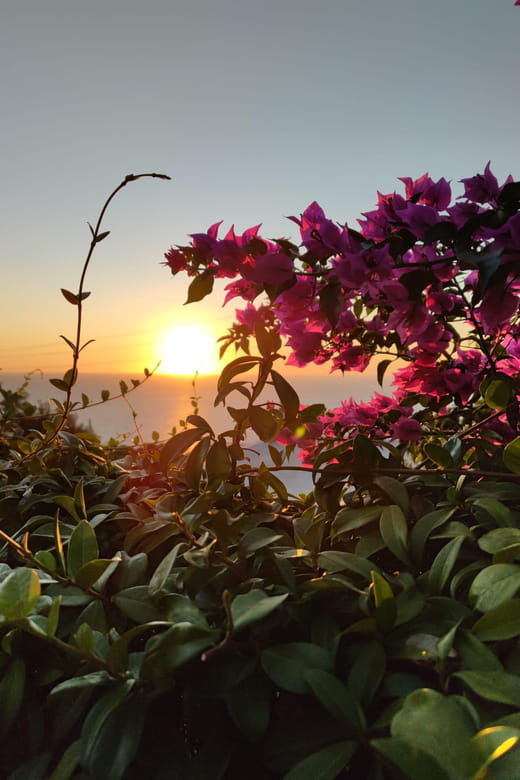 Sorrento Coast Sunset E-Bike Tour - What You Can Expect from the Itinerary