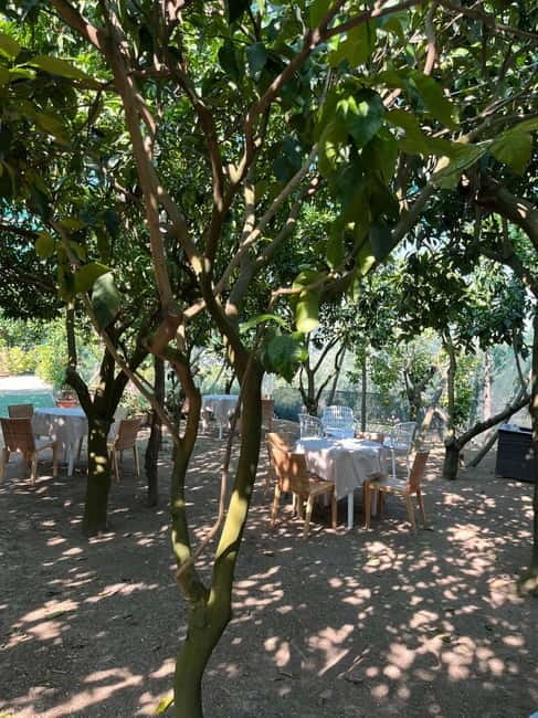Sorrento: Cooking Class under the Lemon Trees - A Little Consideration