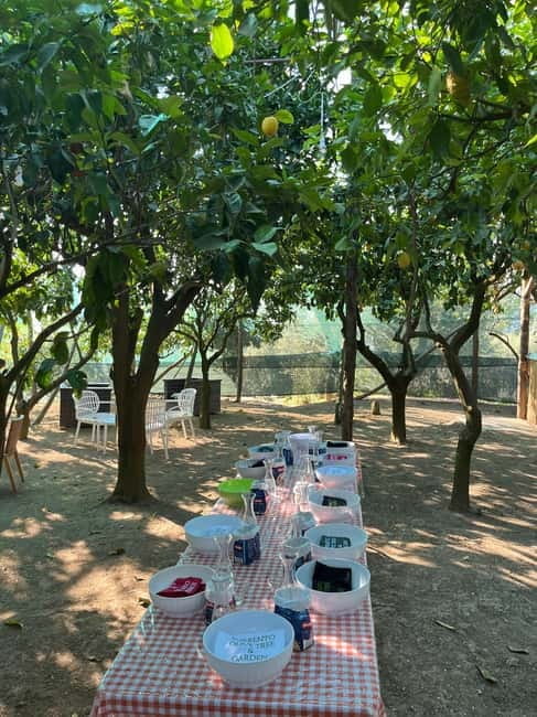 Sorrento: Cooking Class under the Lemon Trees - Who Will This Suit?