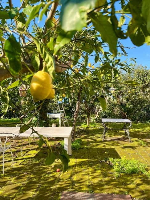 Sorrento: Cooking with a Local Chef & Wine Pairing by the Sea - Final Thoughts: Who Is This For?