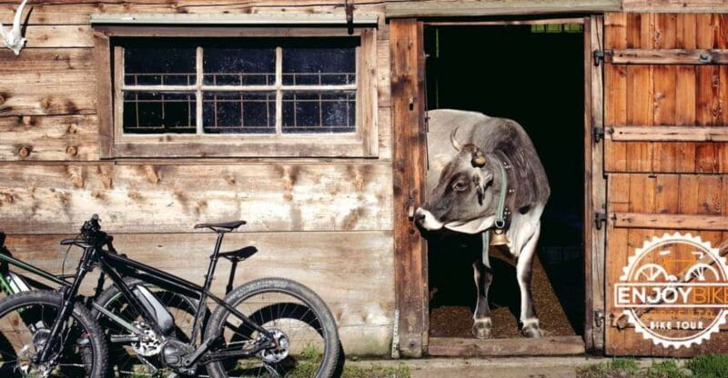 Sorrento: E-Bike Wine & Food Tour - Why This Tour Stands Out