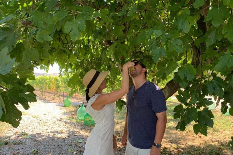 Sorrento: Family Farm Experience with Lunch - Key Points / Takeaways