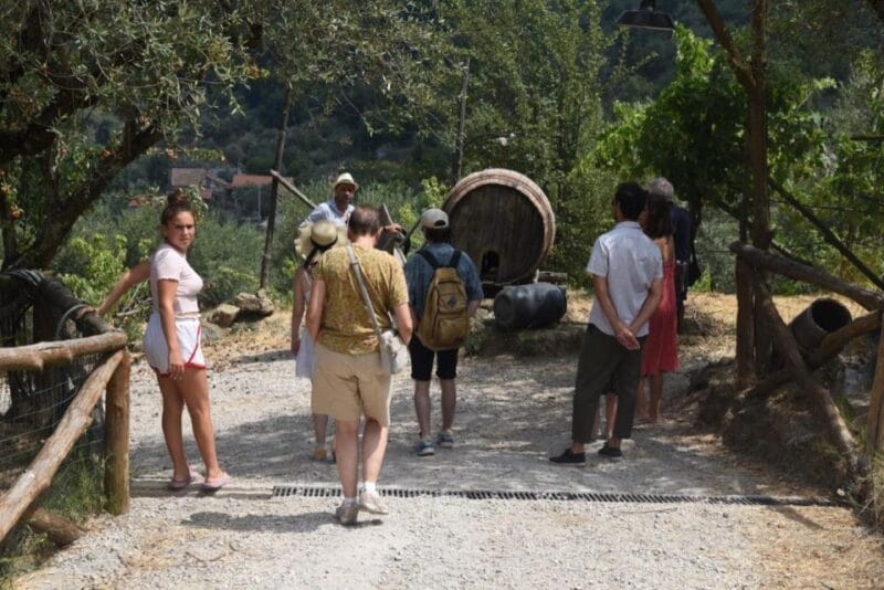 Sorrento Farm Experience: Pizza, Cheese, Wine & More - Discovering Sorrento’s Culinary Gems: A Deep Dive into the Farm Experience