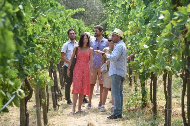 Sorrento: Farm Tour with Cheese Tasting & Pizza Making Class - Entering The Farm: What to Expect