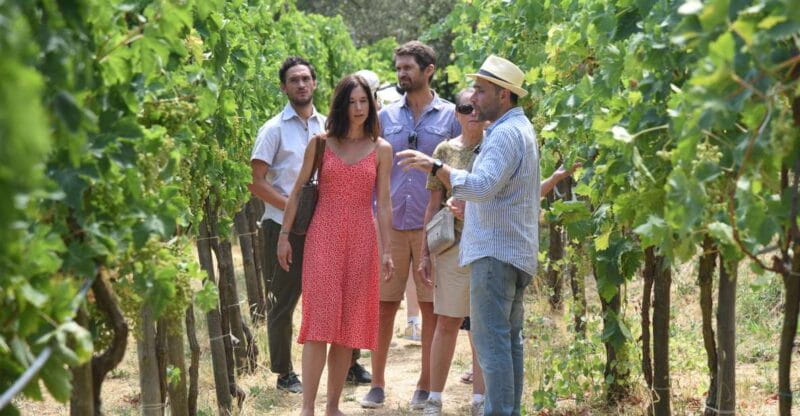 Sorrento: Farm Tour with Cheese Tasting & Pizza Making Class - Pizza Making: A Hands-On Culinary Adventure