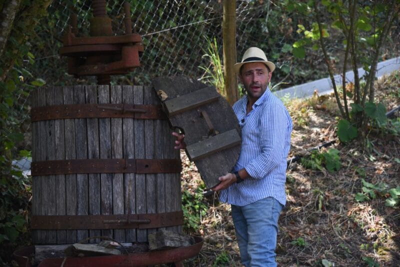 Sorrento: Farm Tour with Cheese Tasting & Pizza Making Class - FAQ