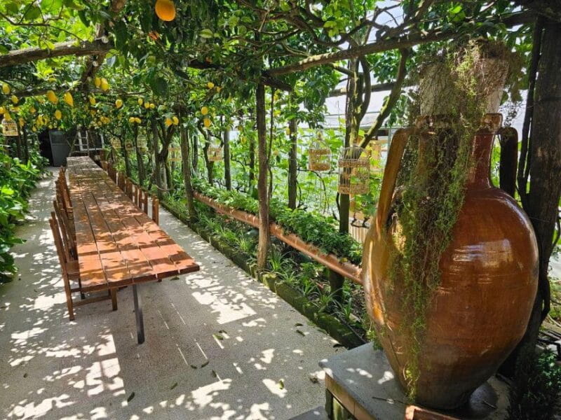 Sorrento: Food Tour by E-Bike and Visit at Vinegar Cellar - Price & Value