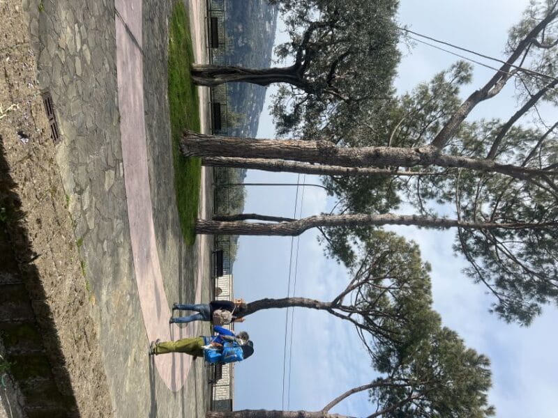 Sorrento: From the Hills to the Sea Hiking Tour - FAQ