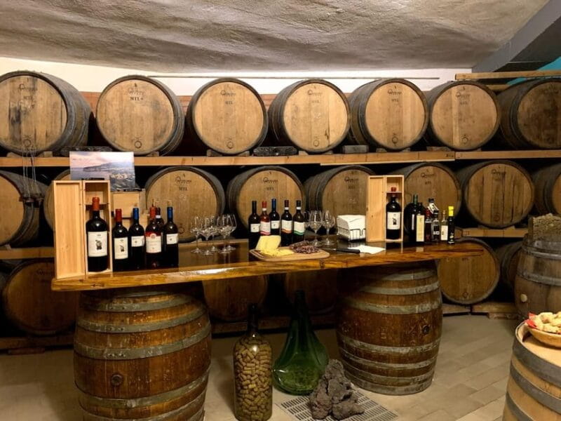 Sorrento: Full Wine Tasting Experience in a Historic Winery - Who Will Love This Tour?