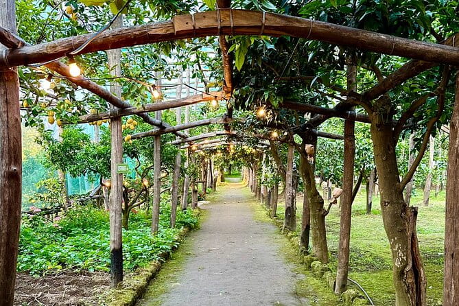 Sorrento Lemon Grove Experience with Local Product Tasting - Exploring the Sorrento Lemon Grove Tour: An In-Depth Review