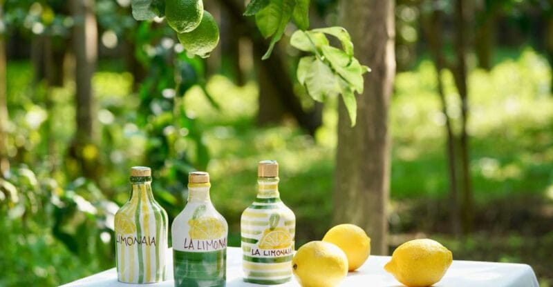Sorrento Lemon Tour - Visiting La Limonaia: A Close-Up of Sorrento’s Lemon Heritage