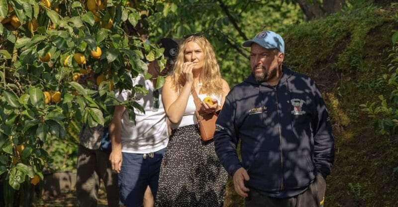 Sorrento: Lemons grove, Farm Tour&Tasting and Pizza Class - Who Will Love This Tour?