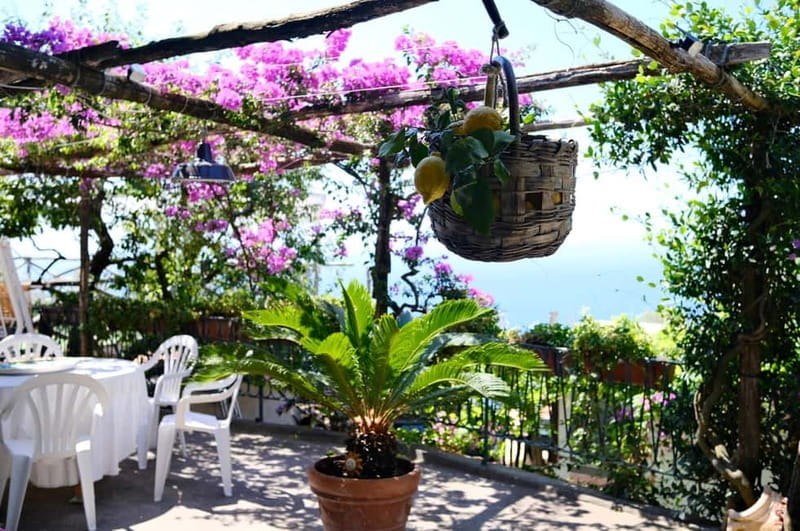 Sorrento: Marì Cooking Class in a Family Farm w/ Coast View - Exploring the Sorrento Coast’s Hidden Culinary Gem