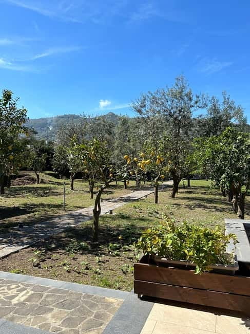 Sorrento: Mozzarella experience. Say CHEESE with us! - Final Thoughts: Why You Should Consider This Experience