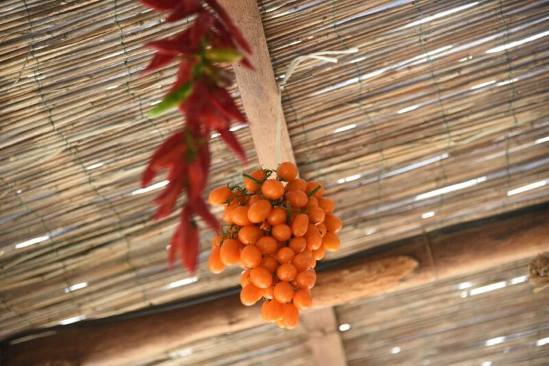 Sorrento: Pizza Lesson, Wine, and Limoncello at a Local Farm - The Farmhouse Dinner: A Truly Italian Feast