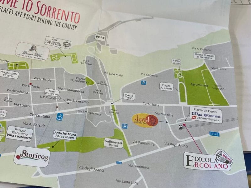 Sorrento: Skip-the-Line Pompeii Express Tour by Train - Transport and Logistics: Pros and Cons