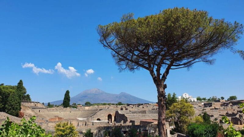 Sorrento: Skip-the-Line Pompeii Express Tour by Train - Exploring Pompeii After the Guided Tour