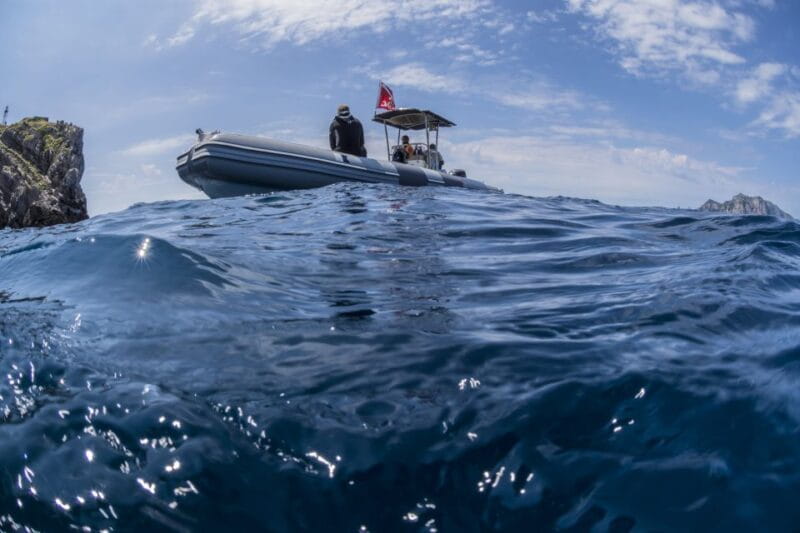Sorrento: Snorkeling morning tour with a Marine Biologist. - Frequently Asked Questions