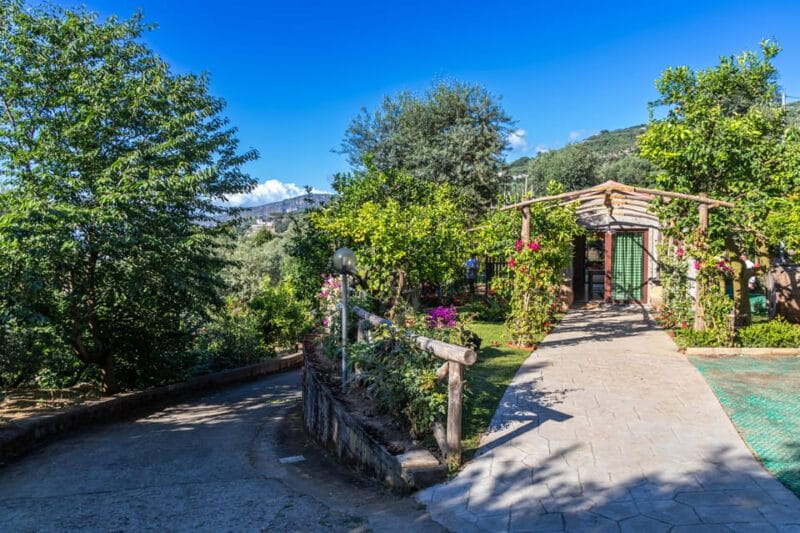 SORRENTO: Sunset Limoncello Making After-Dinner Experience - Price and Value