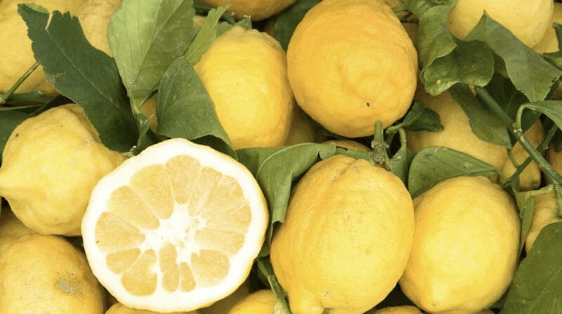 Sorrento: Walking Tour in Lemon Garden w/ Food Tasting - Entering the Heart of the Sorrento Farm Experience