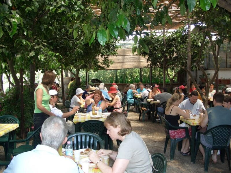 Sorrento: Walking Tour in Lemon Garden w/ Food Tasting - Who Will Enjoy This Tour?