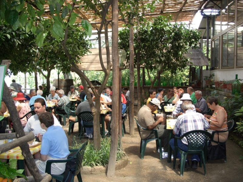 Sorrento: Walking Tour in Lemon Garden w/ Food Tasting - Final Thoughts