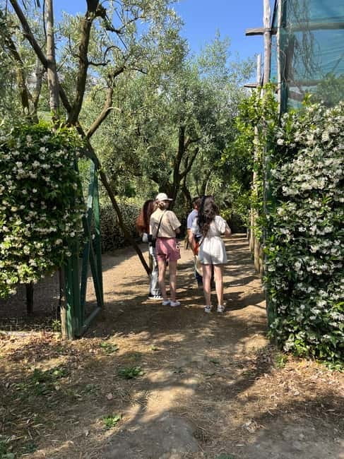 Sorrento:Garden tour of Lemons and Oranges tree - Entering the Garden: An Authentic Slice of Sorrento