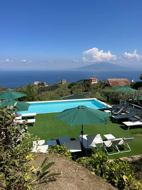 Sorrento:Garden tour of Lemons and Oranges tree - The Tasting Experience: Olive Oil & Aperitivo