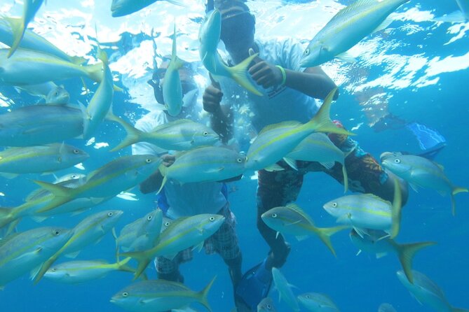 Sosua Party Boat - Private Tour-Snorkeling- Ambar Cove -Taino Bay - Activity Description