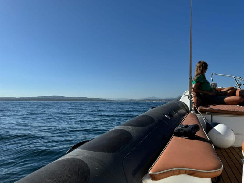 Sotogrande: Dolphin watching experience with expert crew - Exploring the Details: What to Expect from the Dolphin Watching Tour