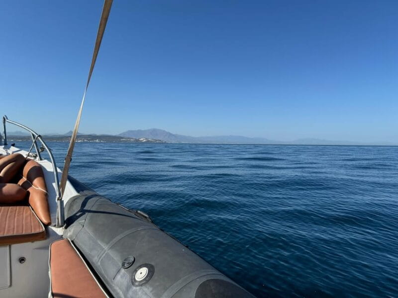 Sotogrande: Dolphin watching experience with expert crew - Final Thoughts
