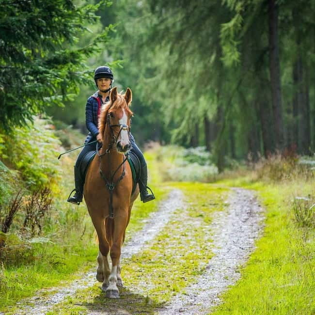 SoulRide: Horseback & Mindful Escape in Kissamos - An Authentic, Mindful Horseback Experience in Kissamos