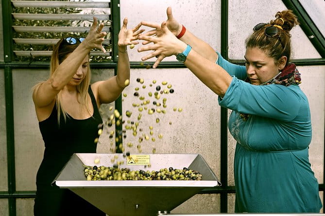 Sounion Highlights: Vouliagmeni, Olive Farm, Poseidon Temple, Thorikos Theatre - Walking Back in Time at Thorikos Theatre