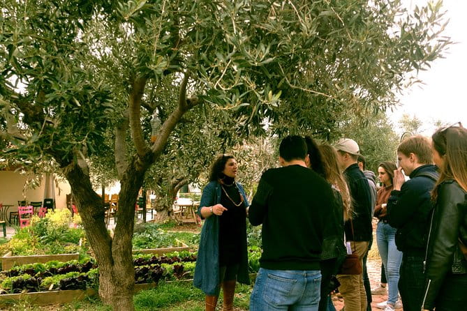 Sounion Highlights: Vouliagmeni, Olive Farm, Poseidon Temple, Thorikos Theatre - The Sum Up: A Well-Rounded Day in Greece’s Coastal Corner