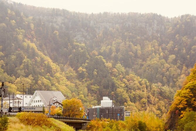 Sounkyo Gorge Autumn Leaves Ice Pavilion Day Tour by Private Car - Pickup Information