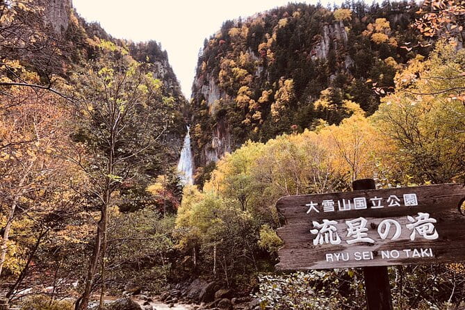 Sounkyo Gorge Autumn Leaves Ice Pavilion Day Tour by Private Car - Accessibility and Requirements